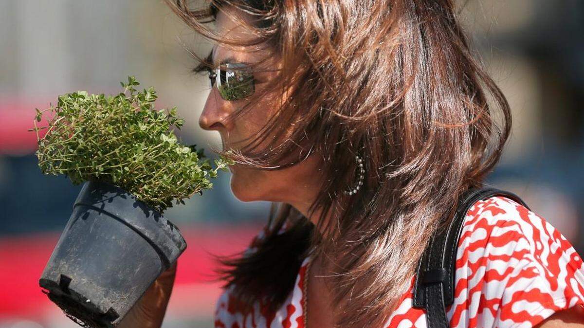 Farmers markets and Herb Day will be among the places people will be able to smell the thyme this weekend.