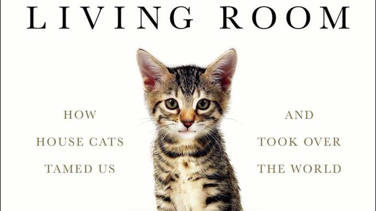 “The Lion in the Living Room: How House Cats Tamed Us and Took Over the World” by Abigail Tucker; Simon & Schuster (237 pages, $26). (Simon &Schuster)