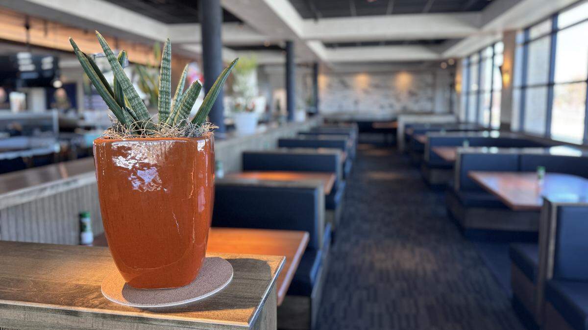 Morgan’s Steakhouse has a Southwestern feel inside. It has limestone walls and lots of cactus life.