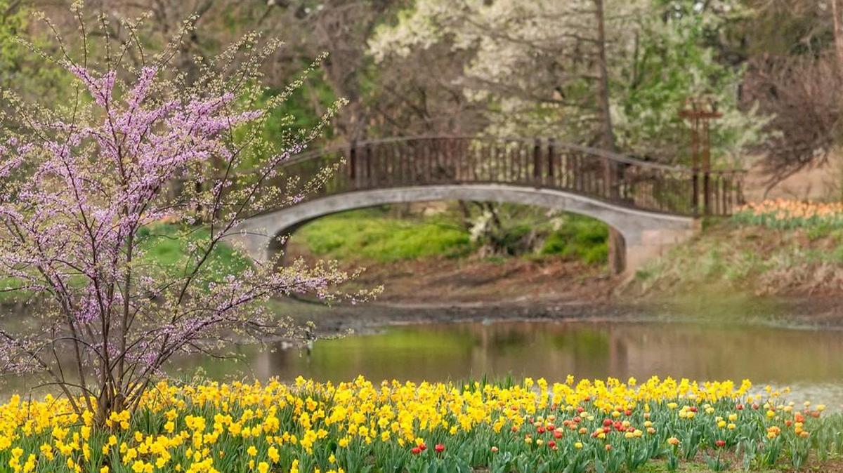 Art at the Arb is this weekend at Bartlett Arboretum, a festival featuring live music, local art and 30,000 blooming tulips.