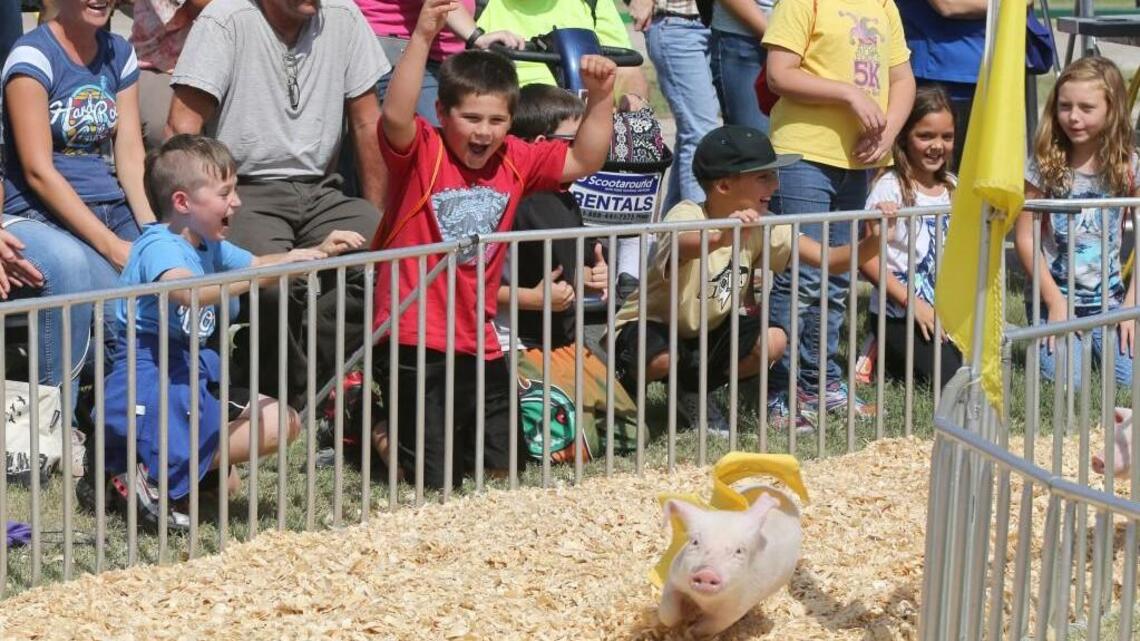 What’s new at the Kansas State Fair this year