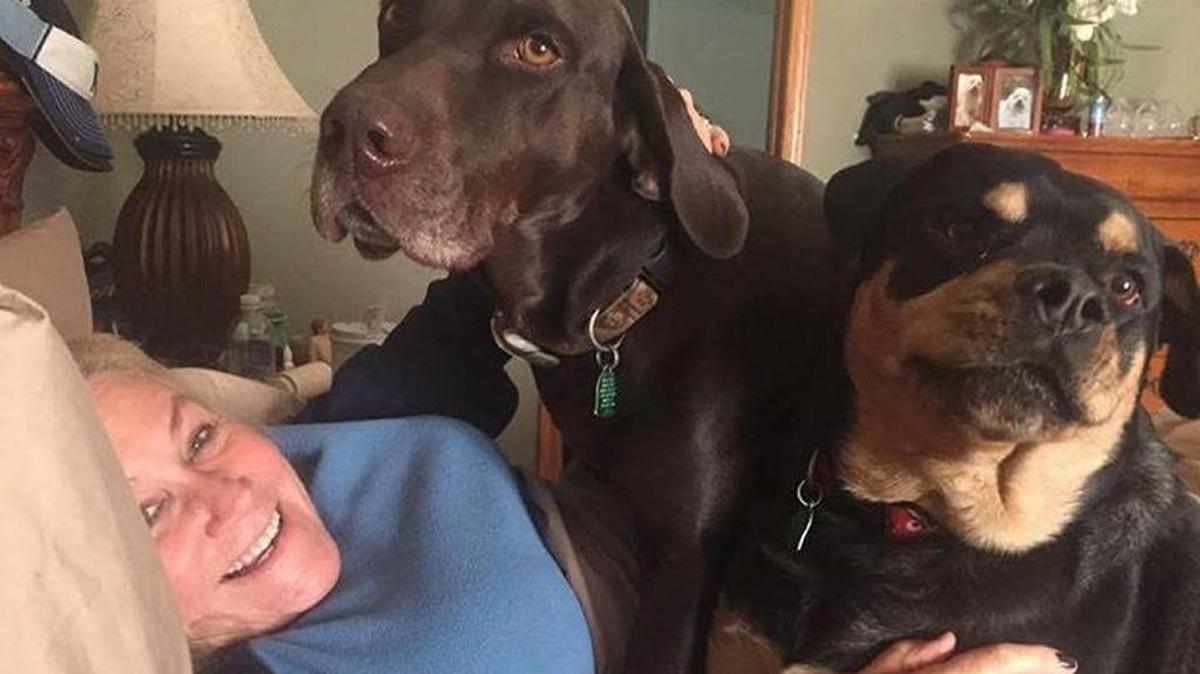 Patty Reeder rescued her dogs, including Newt, a chocolate lab/hound mix, and Chubbs, a Rottweiler.