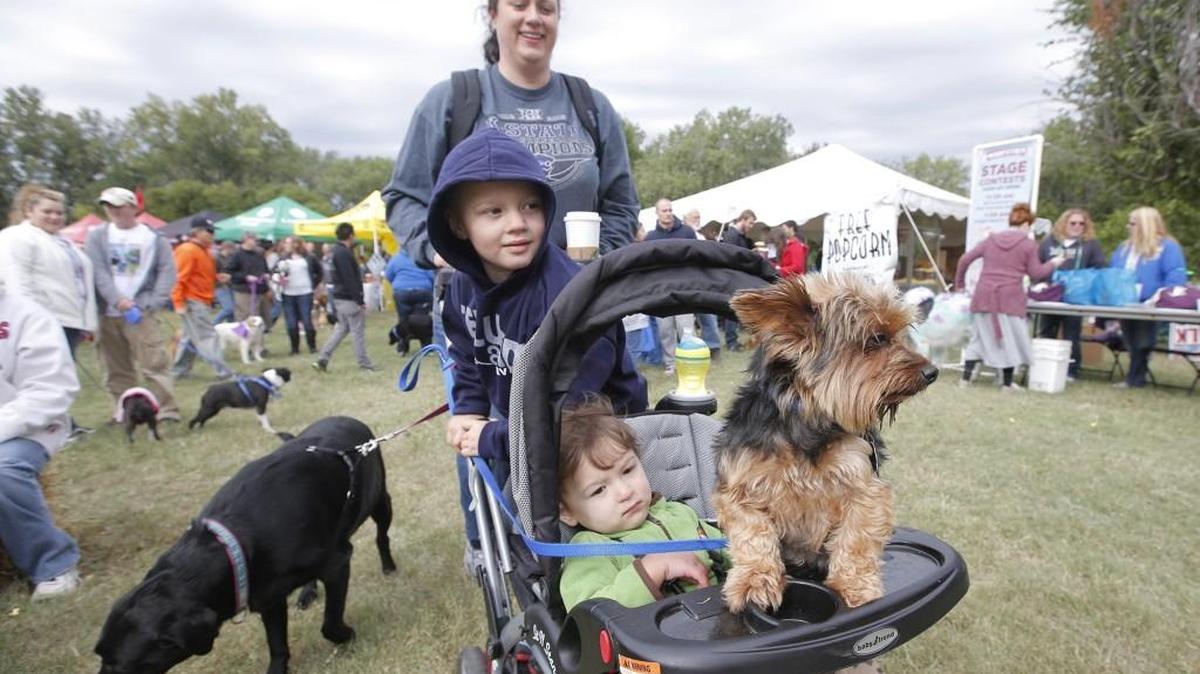 Katie Inkelaar has her hands full pushing her kids Michael, front and Thomas, along with the family dogs Remington, front and Lily, during Woofstock at Sedgwick County Park in 2013. Woofstock returns to the park this Saturday.