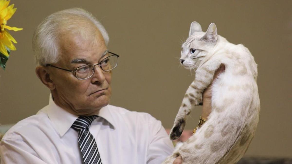 A particularly persnickety feline judge inspects a cat at the Kansas Katz Cat Show in 2015. The show returns to Wichita this weekend.