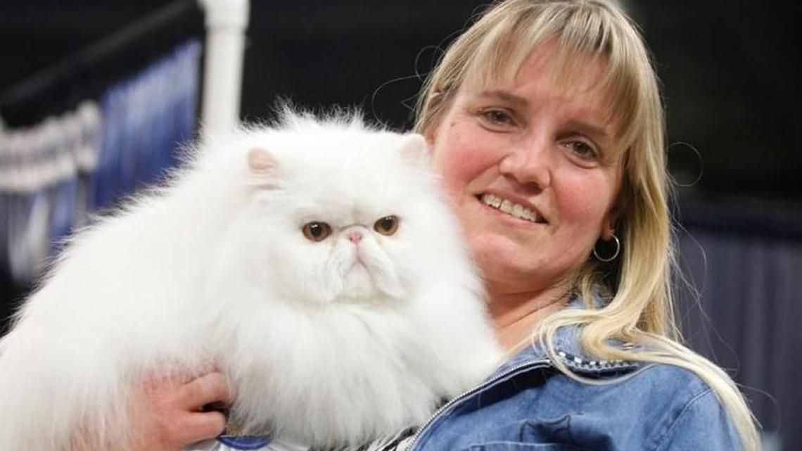 Kathryn Queen shows off her white Persian male cat after it was judged at the Wichita Cat Fancy show. The cat show returns to The Cotillion this weekend.