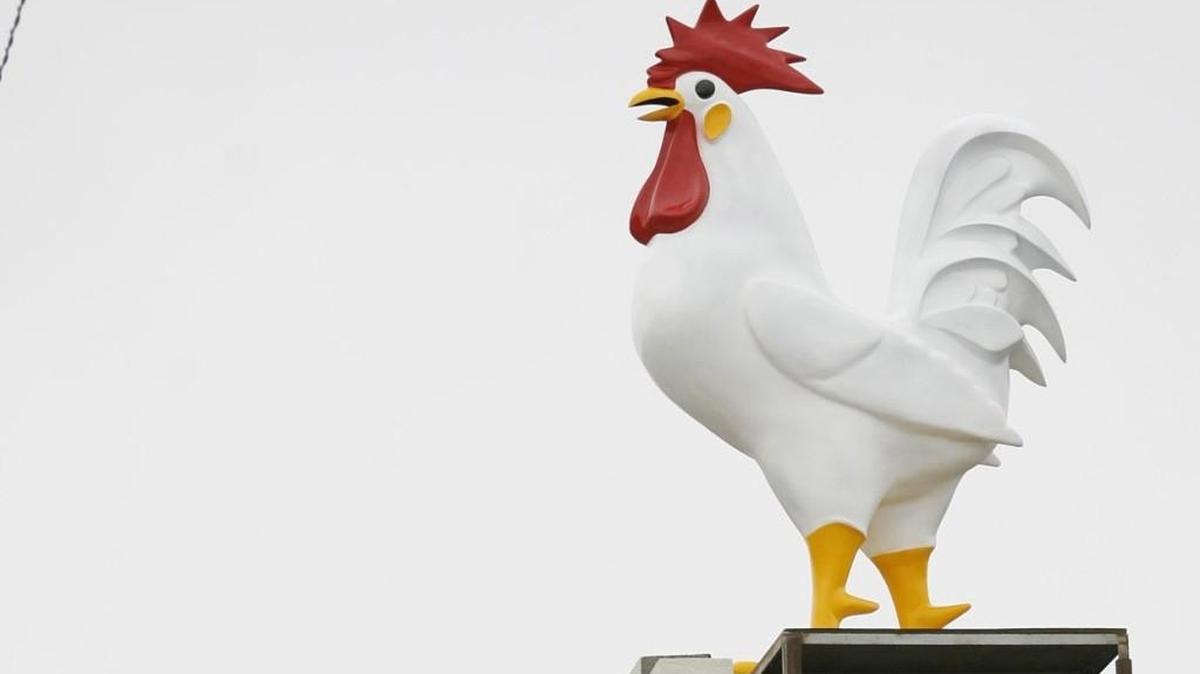 The Donut Whole is known for the rooster sculpture on its roof. The doughnut shop is under new ownership, and its owners are trying to fulfill promises made as part of a "Project X" fundraiser.