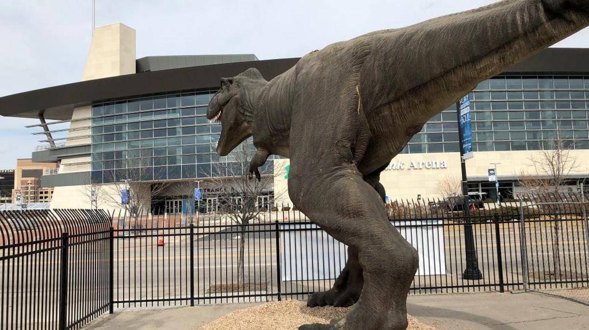 A T. rex replica, a teaser for the upcoming Field Station: Dinosaurs attraction in Derby, has been installed on Waterman Street near Intrust Bank Arena.