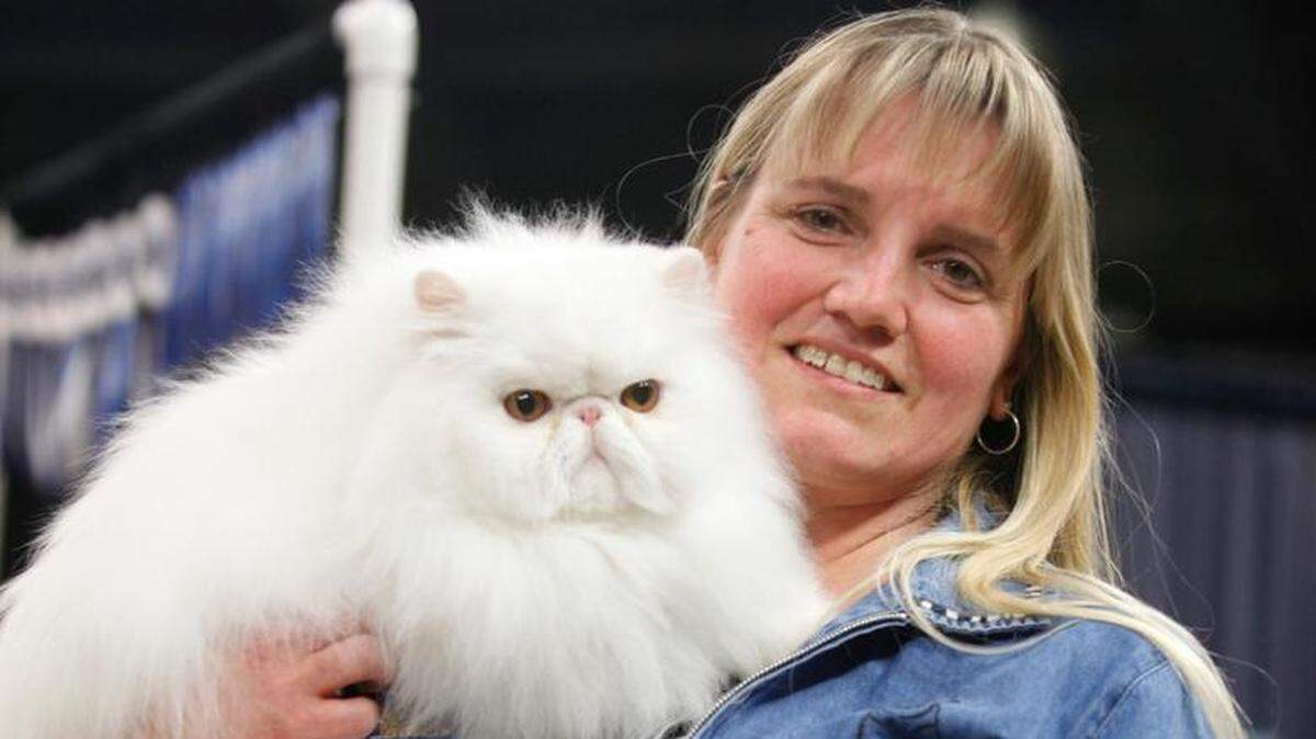 The annual Wichita Cat Fancy show returns this weekend.