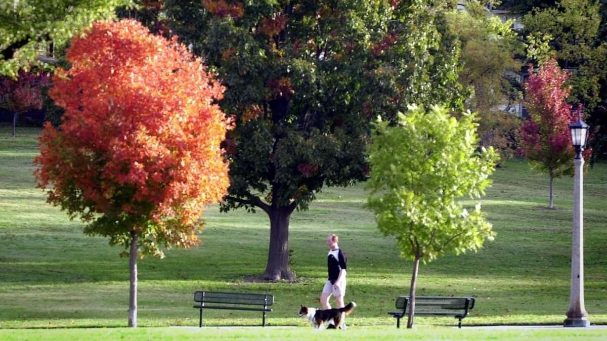 Wichita was ranked the seventh-best city in the nation for dog owners. The city was ranked on a variety of factors, including walking, which takes into account a city’s overall walkability as well as ratio of city size to parkland and an average resident’s walking distance to a park, such as this one near College Hill.