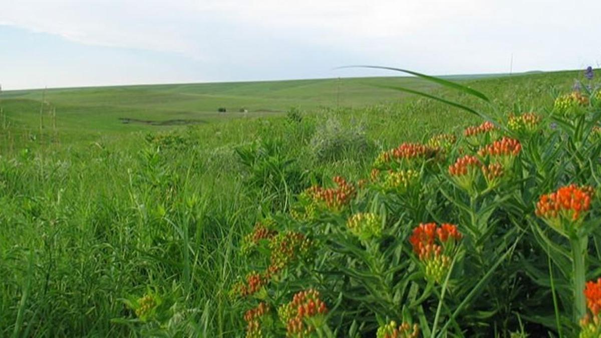 Tallgrass Prairie National Preserve anniversary