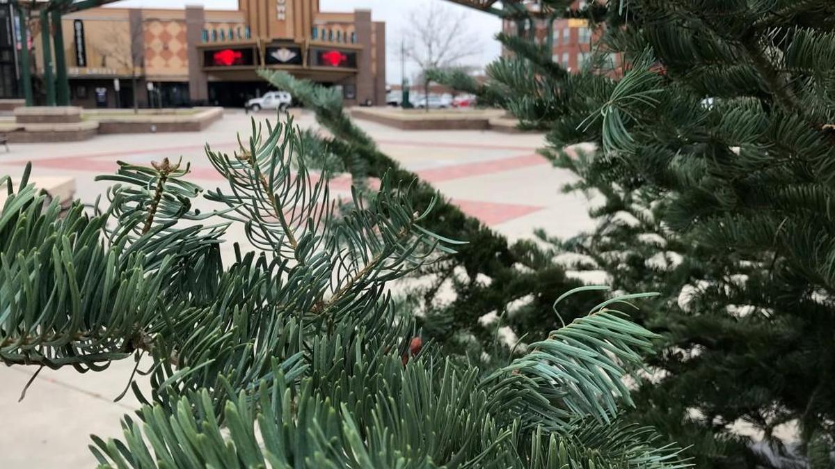The Mayor’s Christmas Tree and its lighting are in Old Town Square this year. All of the evening’s festivities are a mile away at the Wichita Boathouse.