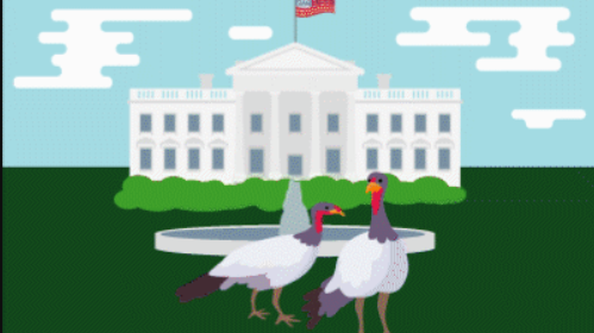 The presidential turkey and its wingman will live out their days in the Blue Ridge Mountains.