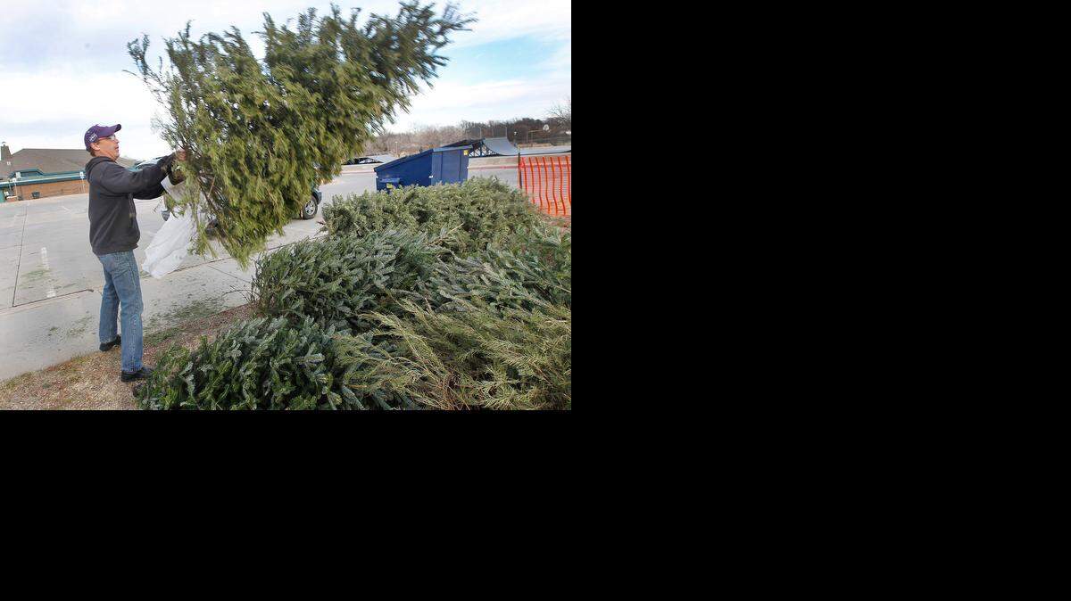 
Mike Reed gets rid of his Christmas tree at Edgemoor Park in 2012.
