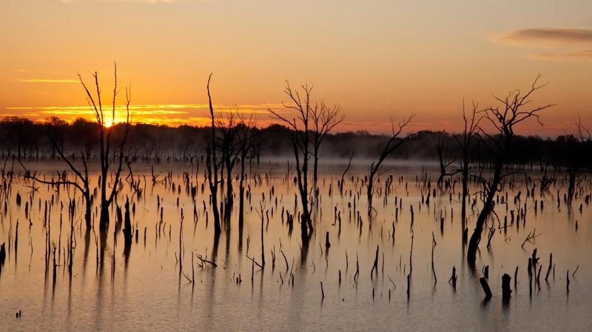 The Wichita Symphony will perform Vivaldi’s “Four Seasons” accompanied by 350 photos by Larry Schwarm showing Kansas in winter, spring, summer and fall.