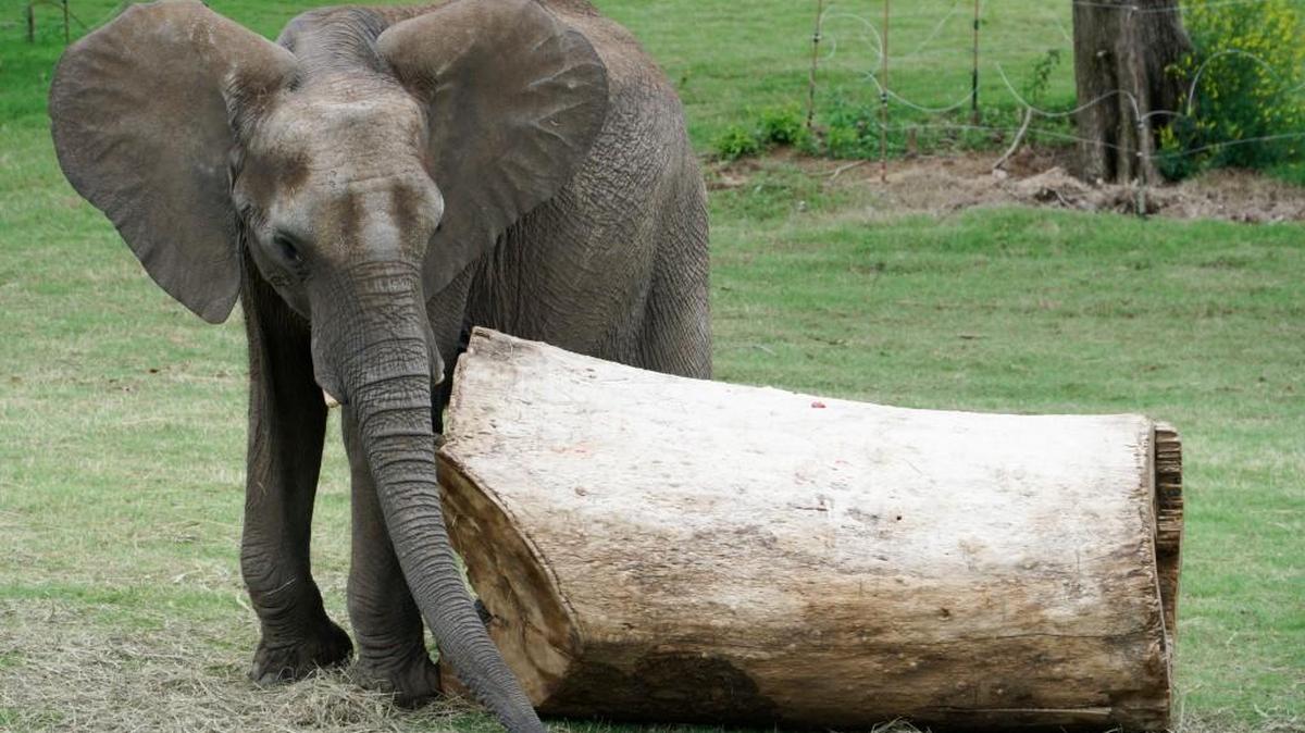 Back-to-school bash at Sedgwick County Zoo