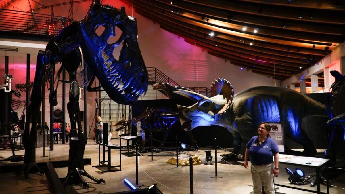 Dinosaurs in Motion exhibit at Exploration Place opens to the public on May 28. Guests can control 14 interactive, recycled metal dinosaur sculptures with exposed mechanics, inspired by actual fossils.