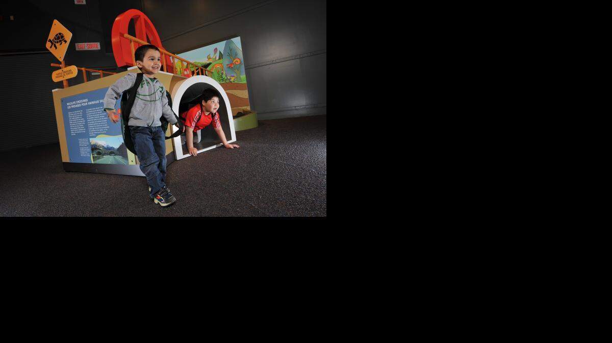 
Kids can put on soft turtle shells and crawl through a tunnel at the Wildlife Rescue exhibit at Exploration Place.
