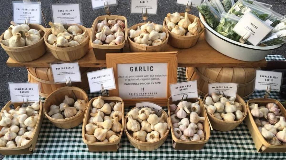 Orie’s Garlic Fest, a first-time event celebrating the joys of the pungent, flavorful blubs, will happen this weekend in Wichita.