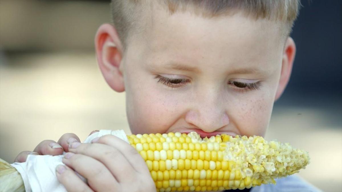 No need to sweat while you nibble this year. The Wichita Riverfest will have covered seating in the main food court.