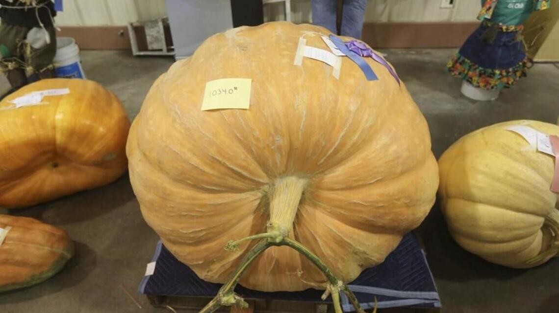 Garden City pumpkin grower squashes Kansas State Fair record on first try
