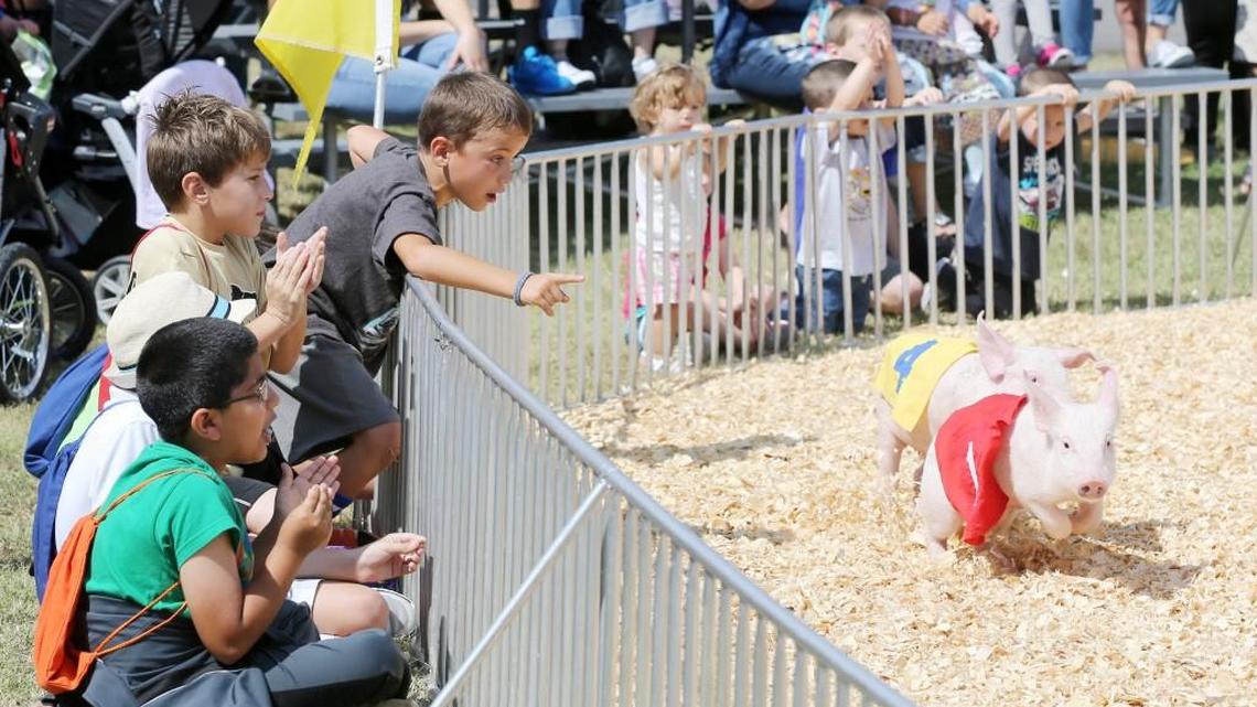 
The Kansas State Fair set an attendance record this year. (Sept. 11, 2015) 
