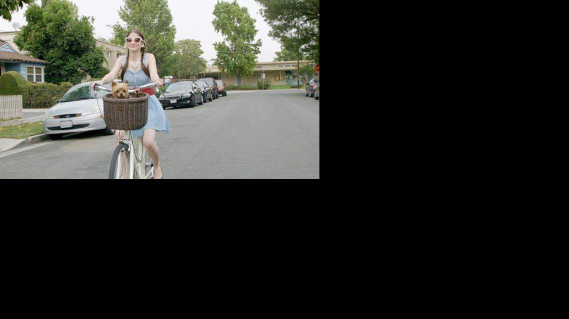 
“Gone Doggy Gone” is about a couple’s frantic search for their dog that has been kidnapped. 
