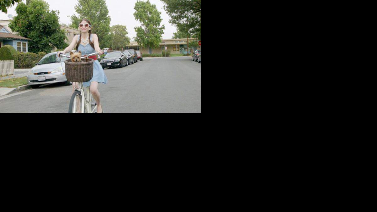 
“Gone Doggy Gone” is about a couple’s frantic search for their dog that has been kidnapped. 
