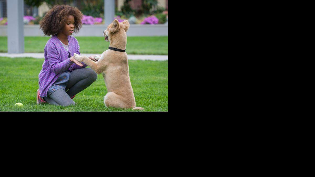 
Annie (Quvenzhane Wallis) with her dog Sandy in “Annie,” opening Dec. 19. 
