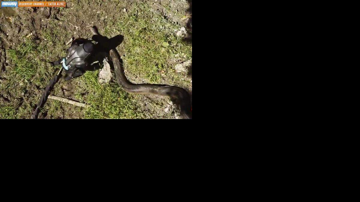 
Screengrab from video

