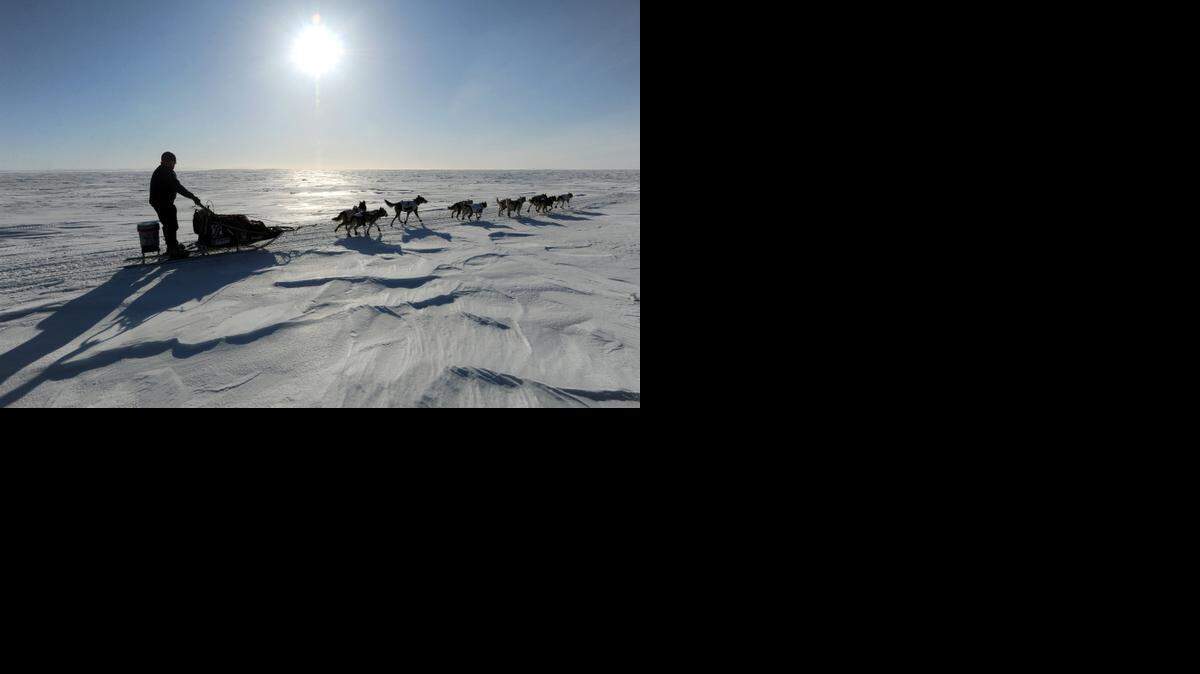 
Alaska dog musher Aliy Zirkle drives her dog team towards Elim after leaving the checkpoint at Koyuk in Alaska during the 2013 Iditarod Trail Sled Dog Race. On this date, Oct. 18, in 1867, the United States took formal possession of Alaska from Russia.
