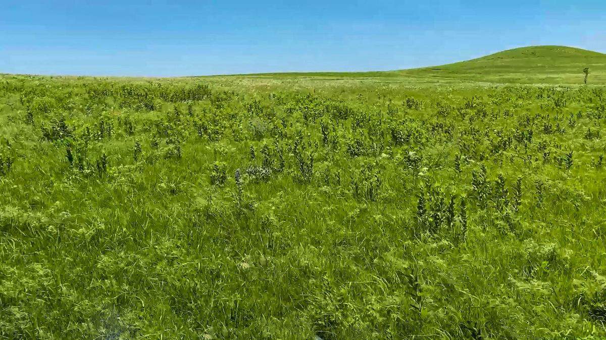 Wagstaff Ranch.