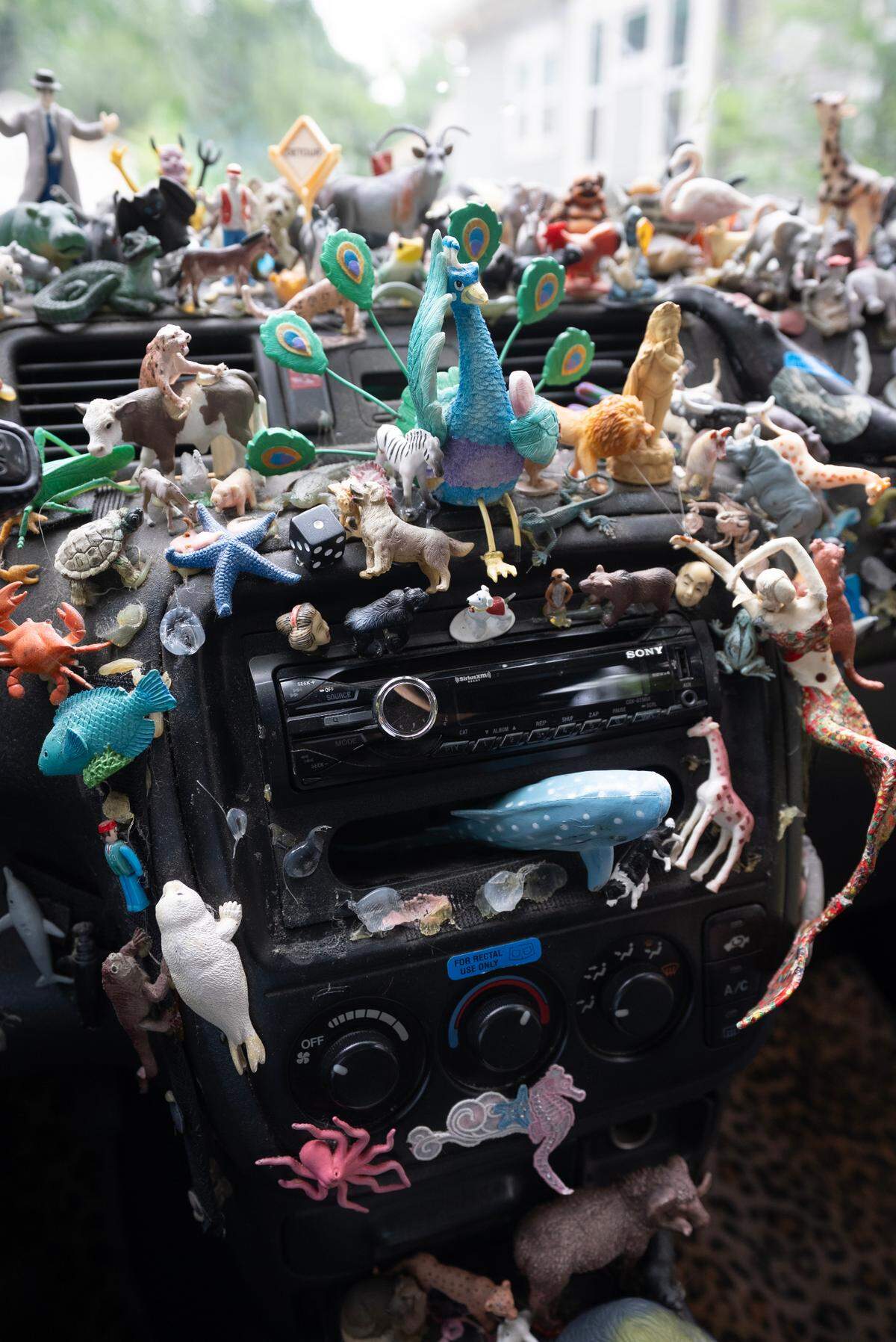 These are just some of the animal figurines that Linda Anderson has in her colorful Honda CRV, which is featured in a new Wichita Eagle mini-documentary series called ICT in 70.