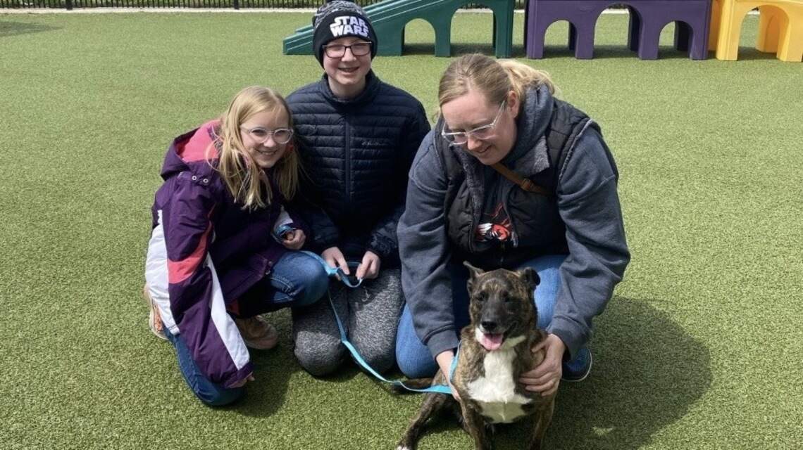 Need a companion during stay-at-home? Kansas Humane Society launches no-contact adoptions