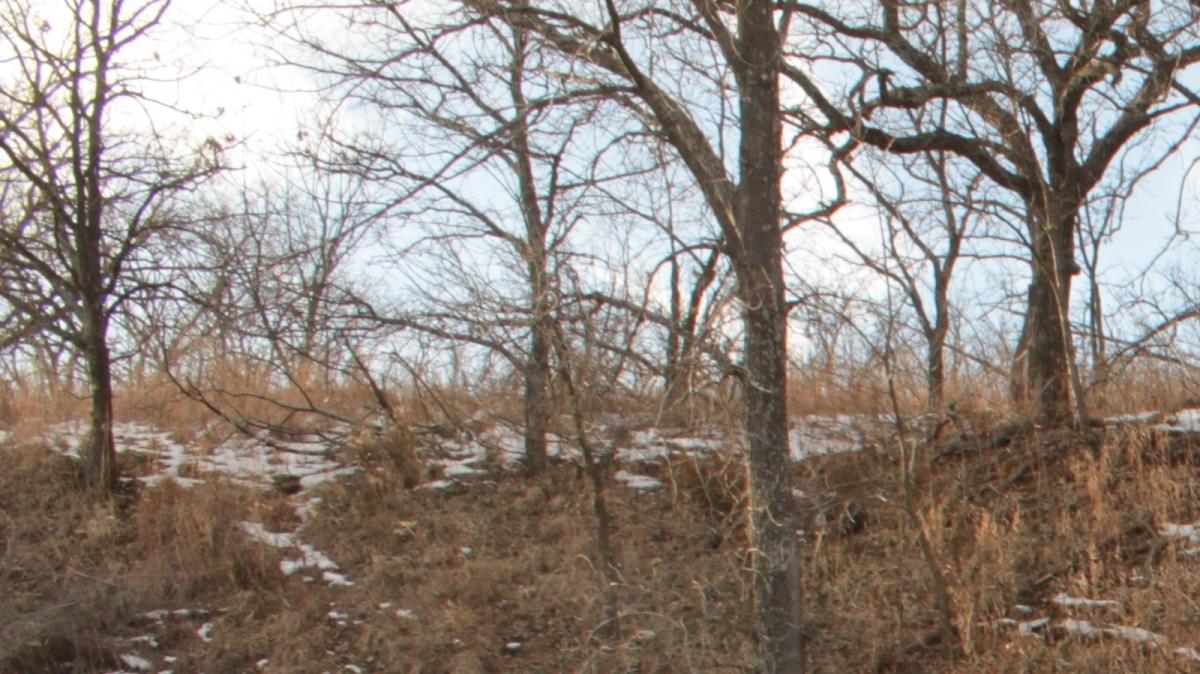 Pillsbury Crossing Wildlife Area.