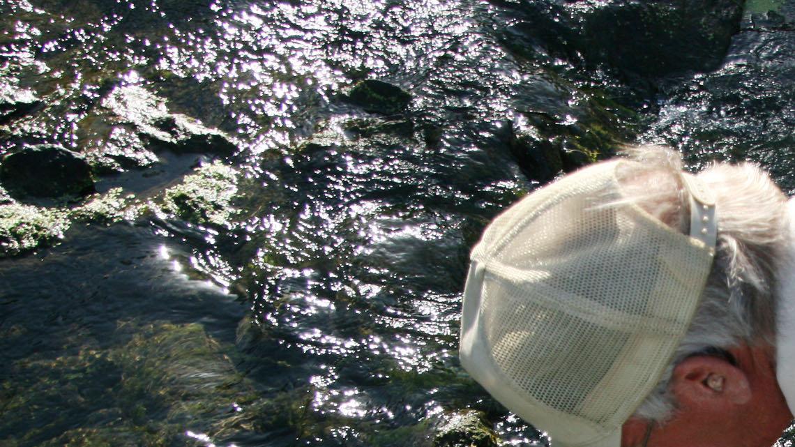 Biologist Tommie Berger checks the water temperature along a section of the seep stream below Kanopolis Lake. It's hoped that some man-made changes will keep the stream cool enough to support trout all year.