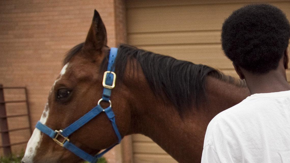 A student cares for a horse in the Job Readiness Training program at the Judge James V. Riddel Boys Ranch at Lake Afton, Sedgwick County's place for juvenile offenders who are at medium to high risk of reoffending. (June 1, 2012.)