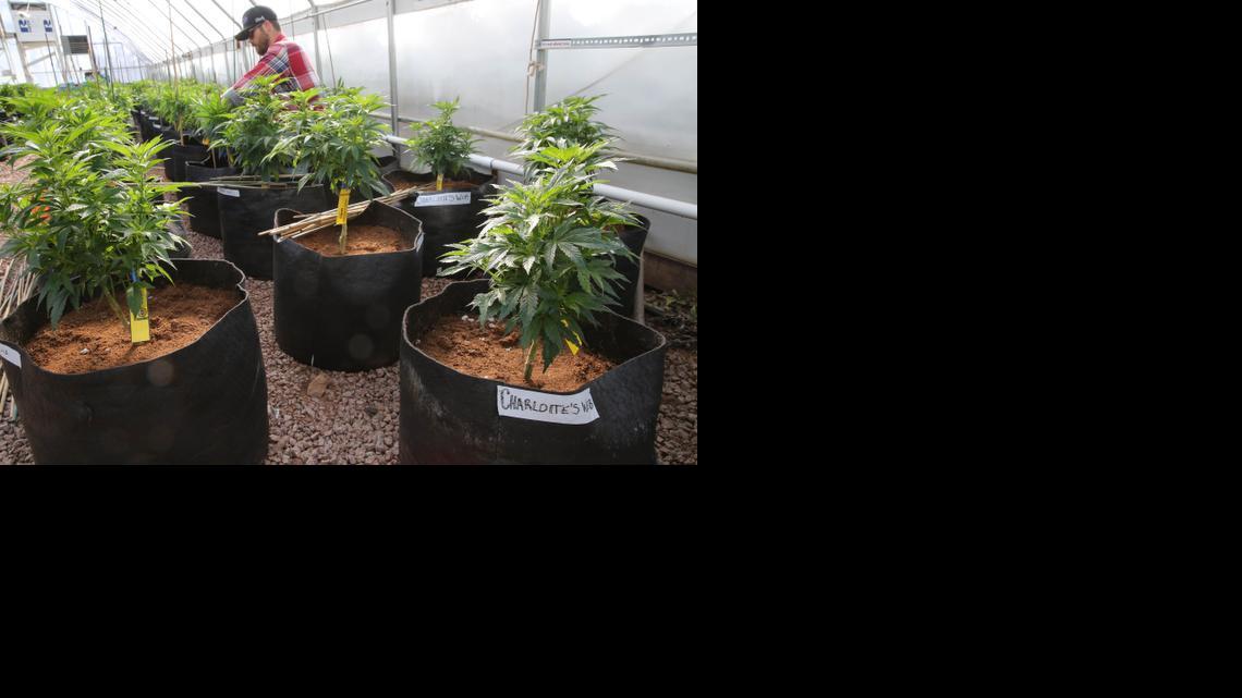 Moving for Marijuana