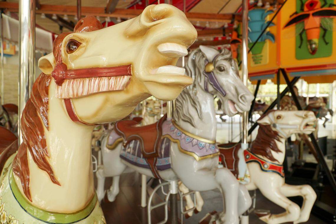 In 2014, Joyland co-owner Margaret Nelson Spear donated the Joyland carousel to Botanica, asking that it be restored for a new generation to enjoy.