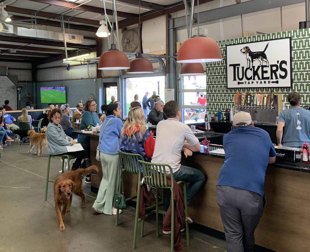 Tucker’s Tap Yard opened in Winston-Salem, North Carolina, in the summer of 2022 and is the inspiration for Wichita’s Barks & Brews, opening in the spring near English and Pattie.
