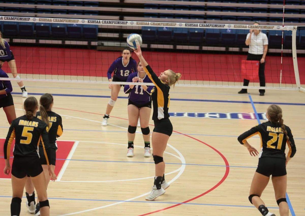 Andale senior setter Annabeth Baalmann was named to the Wichita Eagle All-Metro volleyball team.