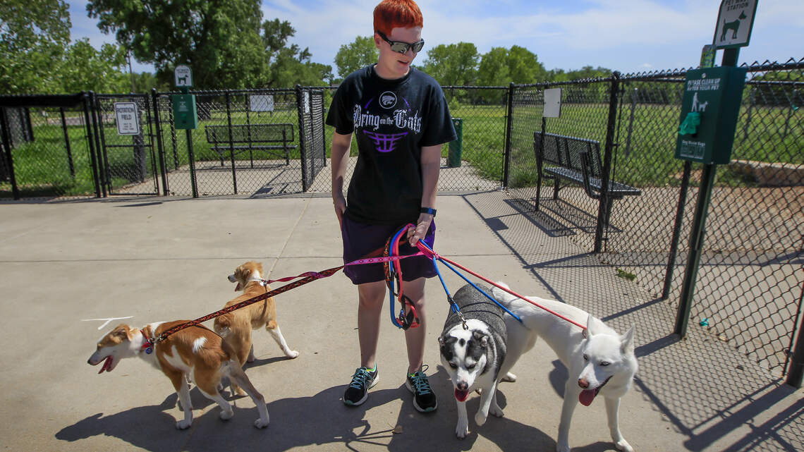 Wichita’s newest dog park will offer agility area, interactive features and fountains