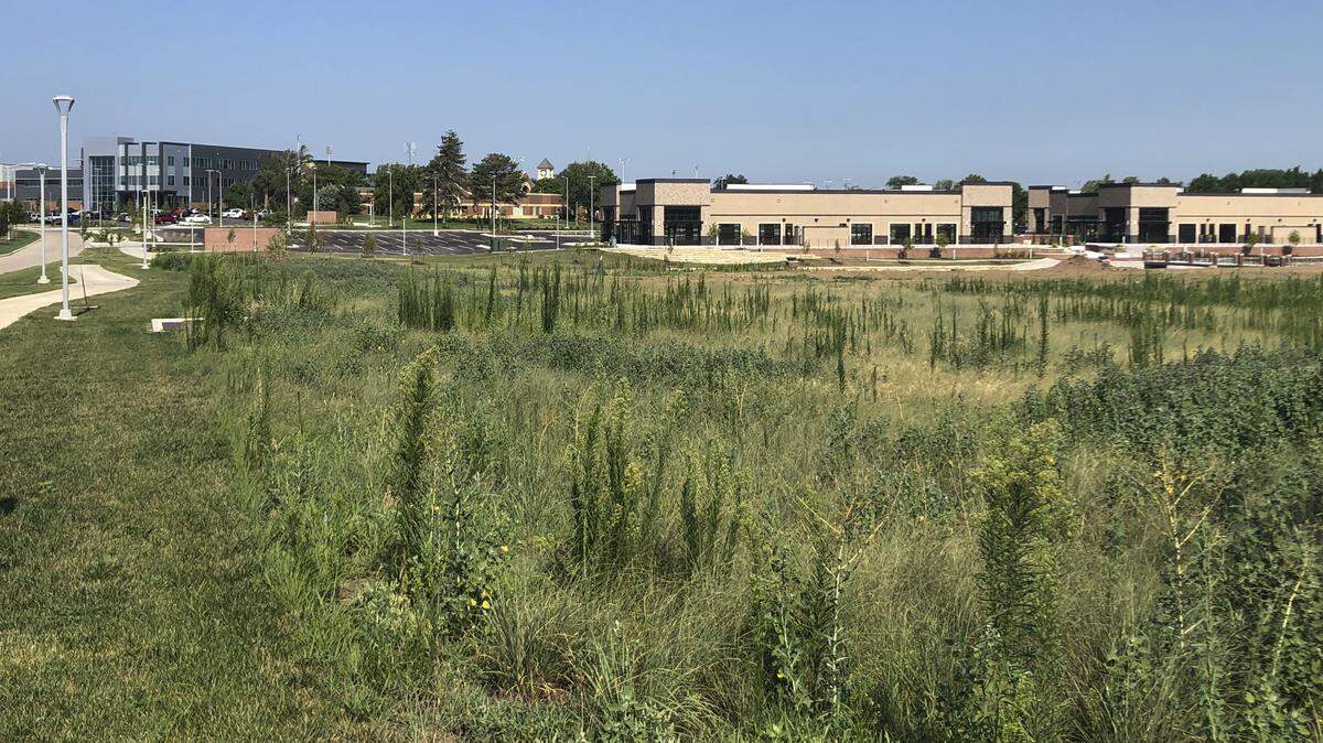 More than two years ago, Wichita State University officials announced plans for a 123-room Element by Westin Hotel at the corner of 19th and Oliver. The project, which was supposed to break ground this spring, is not moving forward as initially planned. (July 10, 2018)
