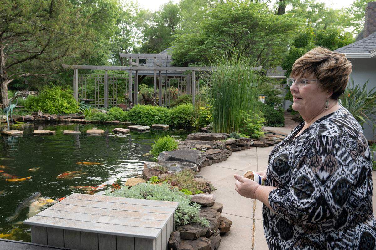 Wanita Wright’s backyard pond at 12 Sandpiper in Wichita near 143rd St. E and Central will be on the Kansas Pond Society’s Water Garden Tour June 18-19. The pond was made by Wright and her late husband by converting the pool and filling it with koi fish.