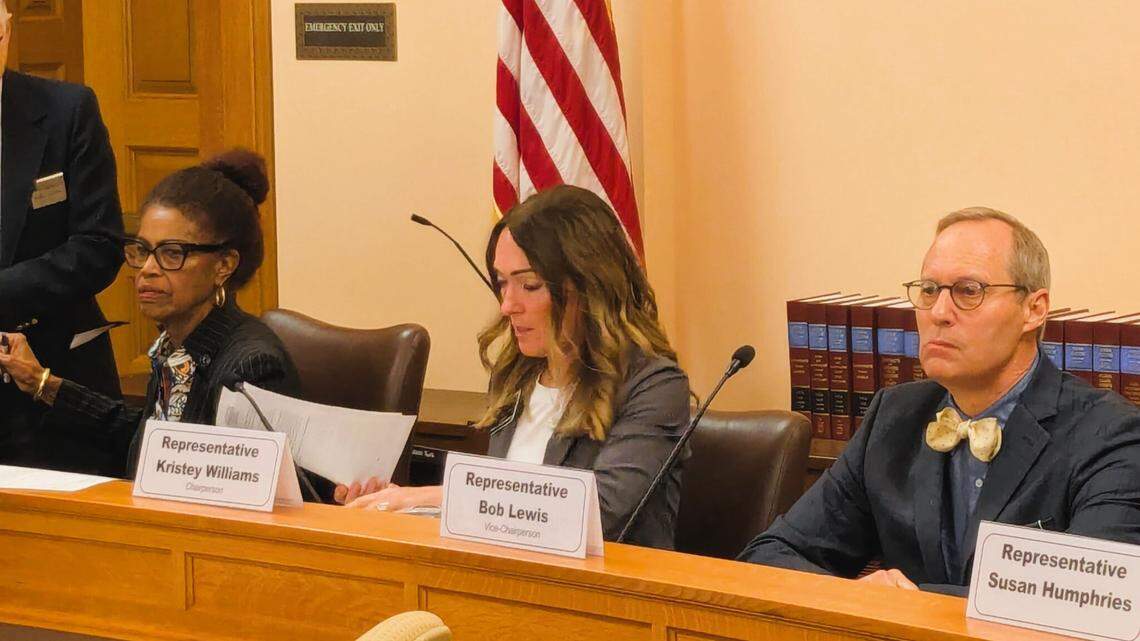 Rep. Barbara Ballard, D-Lawrence, left, Rep. Kristey Williams, R-Augusta, and Rep. Bob Lewis, R-Garden City, take part in the first meeting of the House Select Committee on Government Oversight on Wednesday at the Capitol. The inaugural meeting of the 13-member committee focused on financial issues tied to the Supplemental Nutritional Assistance Program, or SNAP, serving nearly 100,000 households in Kansas.