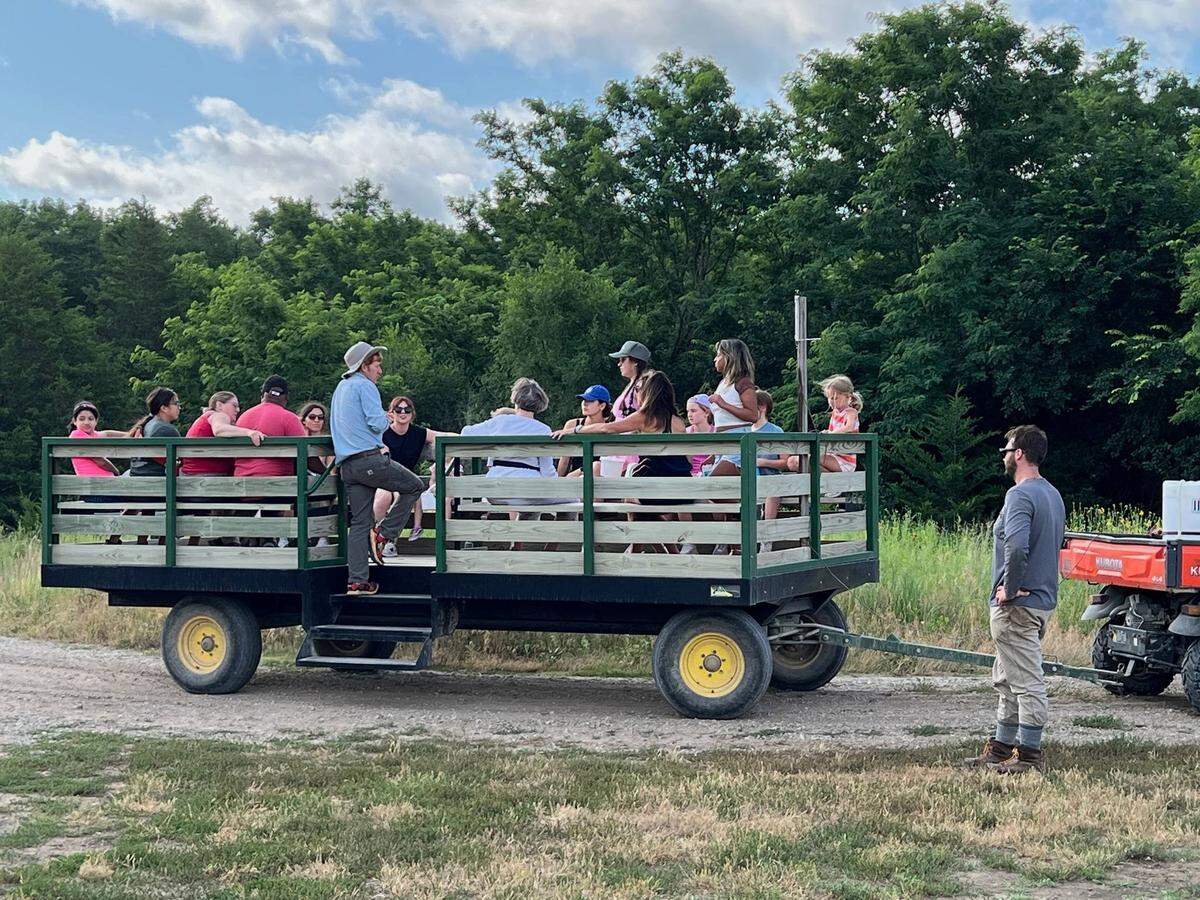 You-pick customers get rides on Elderslie Farm’s “berry ferry” out to the brambles.