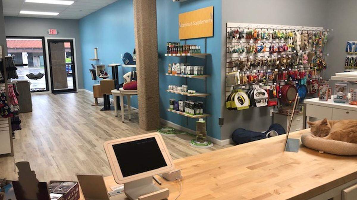 Feline Groovy is celebrating its grand opening next week. The store is all about products for cats, and it even has its own two resident cats. Nibbly is on the counter, and Napoleon is in the distance.
