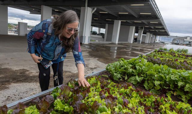 Rise Farms rooftop garden in downtown Wichita, KS shuts down | Wichita ...