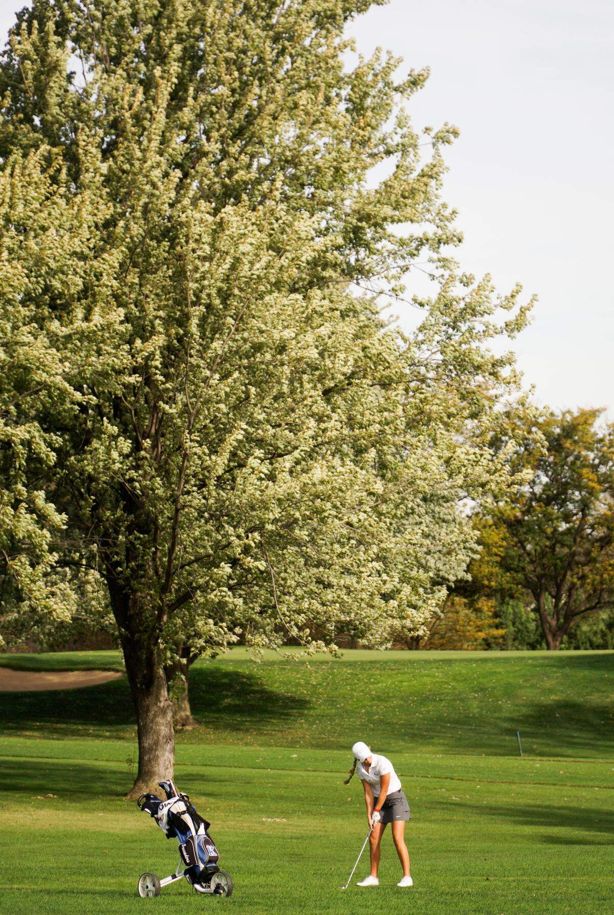 Kapaun senior Emma Whitaker hits on the fairway of the first tee at Crestview Country Club during the Class 5A girls golf state tournament. (October 17, 2016)