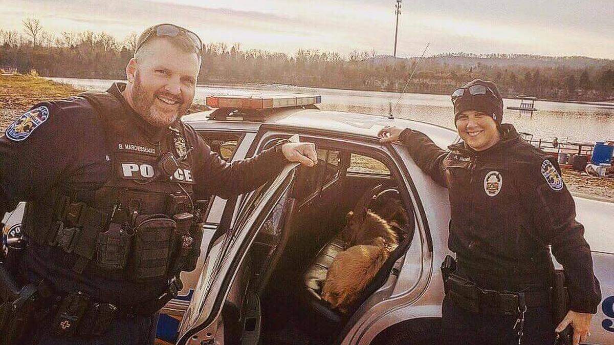 The goats “agreeeeeeed that walking on the interstate was a baaaaaad idea,” police said.