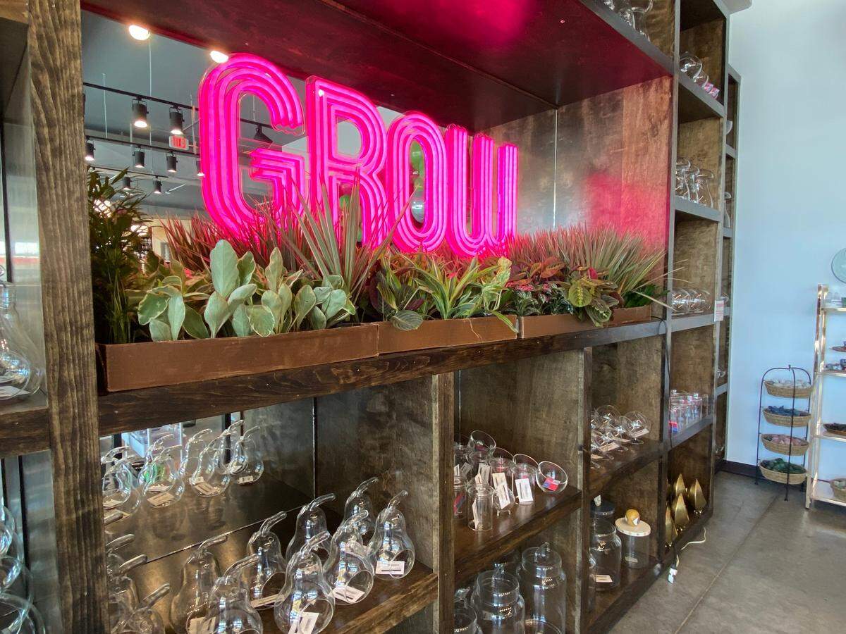 Shoppers at GROW can choose from a wall of clear glass vessels then design their own terrariums at a DIY bar.
